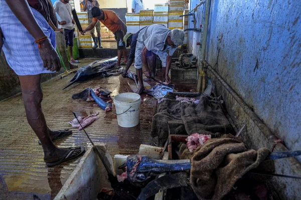 Trincomalee Sri Lanka February 2020 Men Cutting Swordfish Trincomalee Market — Stock Photo, Image