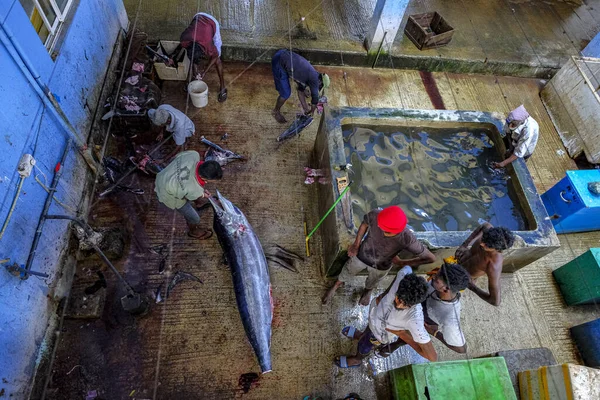 Trincomalee Sri Lanka Februari 2020 Män Skär Svärdfisk Trincomalee Marknaden — Stockfoto