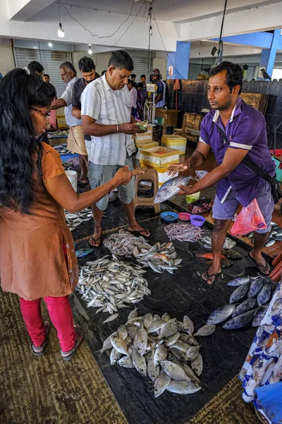 Trincomalee Sri Lanka Februar 2020 Fischverkäufer Auf Dem Trincomalee Markt — Stockfoto