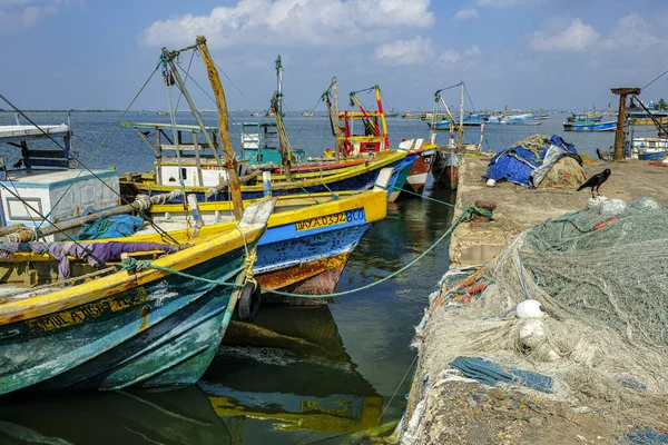 Jaffna Sri Lanka Febrero 2020 Barcos Pesca Distrito Pesquero Jaffna —  Fotos de Stock