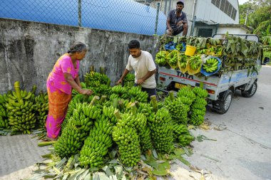 Negombo, Sri Lanka - Mart 2020: Negombo, Sri Lanka 'da 6 Mart 2020 tarihinde balık pazarında muz satan bir adam.