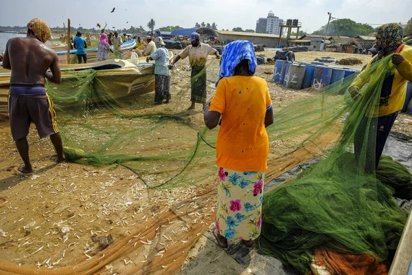 Negombo Sri Lanka Mars 2020 Fiskare Plockar Fisk Sina Fiskenät — Stockfoto