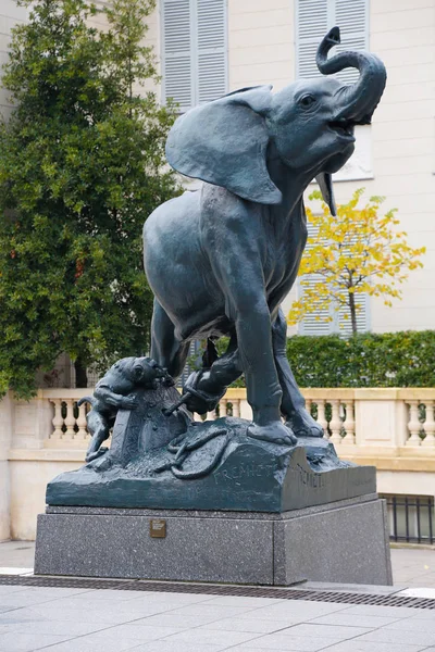 Скульптура Слона Париж Франция Музей Орсе 2013 — стоковое фото