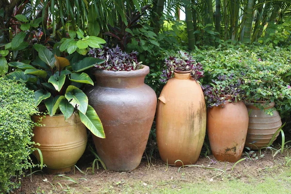 Many clay jars with plants inside, garden decoration
