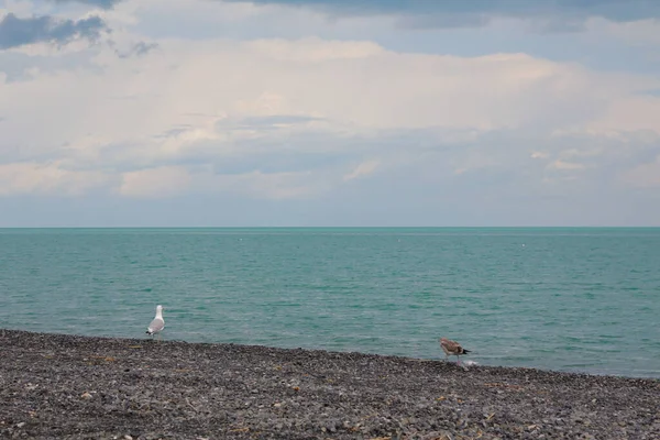 Coasta Lacului Alakol Mal Acoperit Pietricele Vulcanice — Fotografie, imagine de stoc