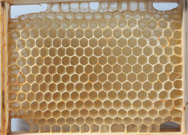 Texture Empty Honeycomb Wooden Frame — Stock Photo, Image