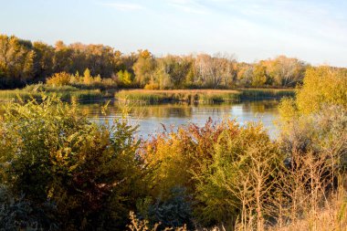 Güzel sonbahar manzarası sarı ağaçlar nehri