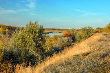 Güzel sonbahar manzarası sarı ağaçlar nehri
