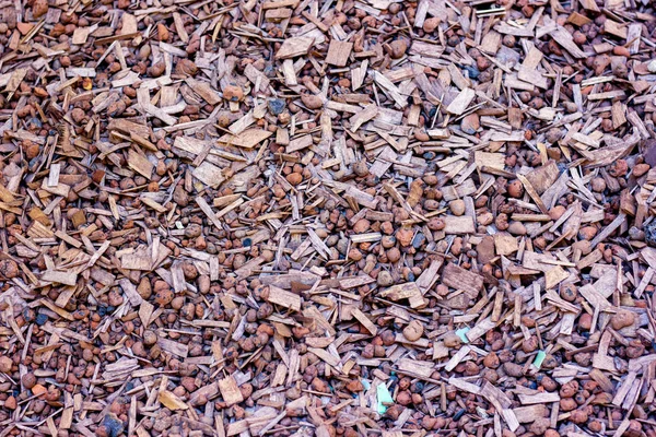 Genişletilmiş Kil Odun Parçaları — Stok fotoğraf