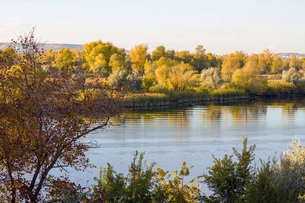 Beau Paysage Automne Arbres Jaunes Rivière — Photo