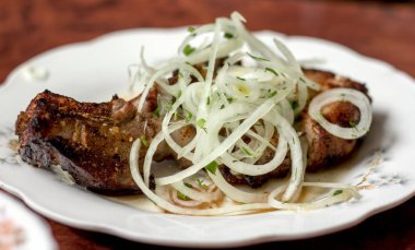 Bir parça kızarmış şiş kebap ve bir tabak soğan turşusu.