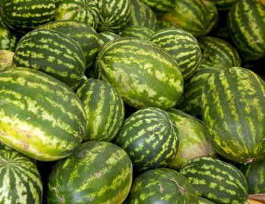 Büyük yeşil karpuzlar pazarda satılıyor.