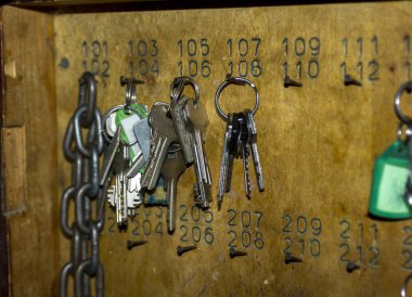 anahtarlıktaki karanfillere bir sürü farklı anahtar asılıydı.