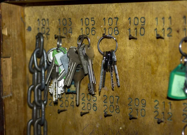 anahtarlıktaki karanfillere bir sürü farklı anahtar asılıydı.