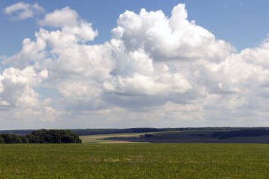 Birçok kümülüs beyaz bulutlar açık mavi bir yaz gökyüzünde tarımsal tarlalar ve manzaralar üzerinde