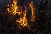 bonfire, bright red flames burning dry grass and branches
