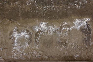 Beton bir duvarda lekeler, çatlaklar ve beyaz küf