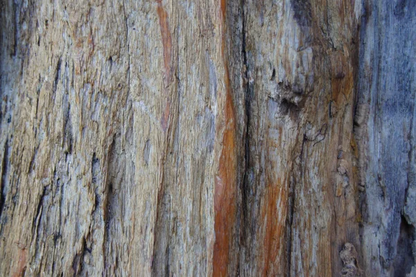 Adesivo Legno Vecchio Grano — Foto Stock