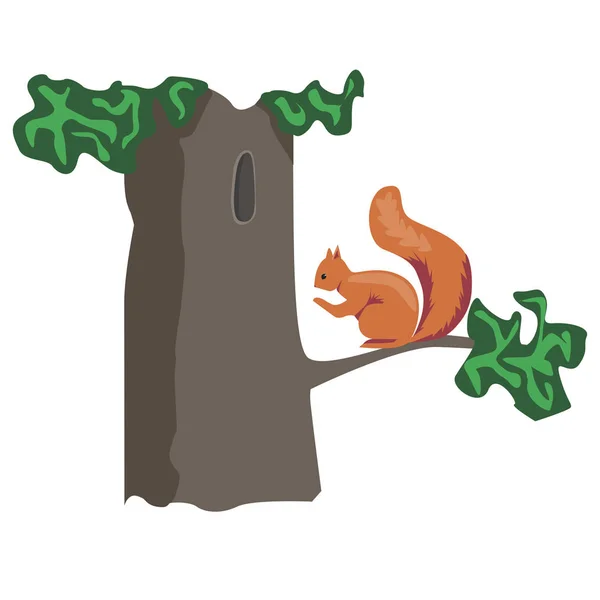 A cartoon squirrel sitting on a tree with a hollow in summer or — Stock Vector