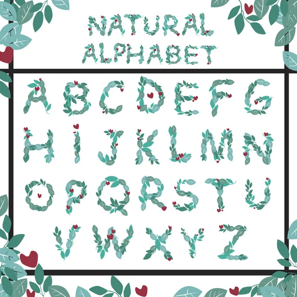 Ein Alphabet oder eine Schrift mit Zweigen und Blättern für Frühling und Summa — Stockvektor