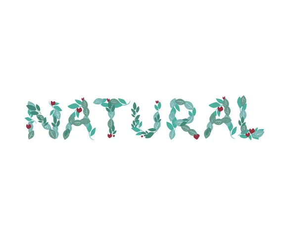 Um texto natural com uma fonte de folhas verdes é isolado em um fundo branco para design, uma ilustração de estoque vetorial com a palavra ou letras para produtos ecológicos ou orgânicos. — Vetor de Stock