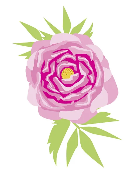 Una peonia vintage isolata su fondo bianco per disegno o stampa, un'illustrazione vettoriale piatta con peonia rosa o fiori di rose e foglie verdi su piatti o stoffa — Vettoriale Stock