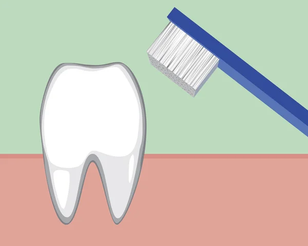 Sakızda Azı Dişi Temizlik Için Tespih Sağlıklı Bir Diş Hijyen — Stok Vektör