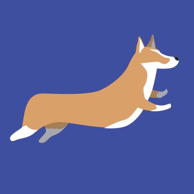 Galli bir Corgi pembroke atlayışta mavi bir arka planda iz olarak izole edilir. Çocuklar ya da bebekler için evcil bir köpek olan şirin vektör stoku çizimi