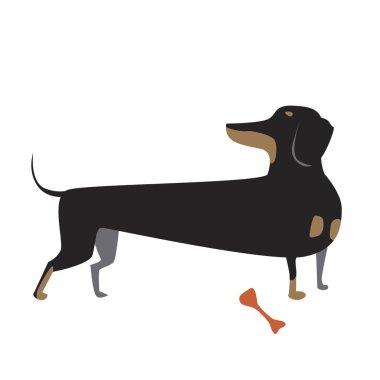 Kemikli bir daksund karalaması parmak izi gibi döndü. Siyah evcil hayvanlı şirin minimalist vektör stok çizimi ya da beyaz arka planda tasarım için izole edilmiş Alman porsuk-köpeği.