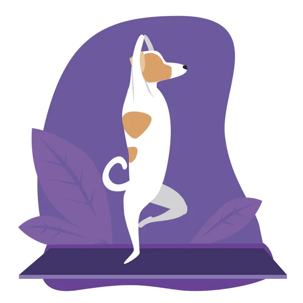 狗或杰克 鲁塞尔犬使用Asana Vrikshasana练习瑜伽 用紫色背景和热带花朵作为媒介种群的有趣丑闻 — 图库矢量图片