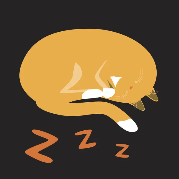 Bir Topun Içine Kıvrılıp Uyuyan Harfiyle Yazılan Turuncu Bir Kedi — Stok Vektör