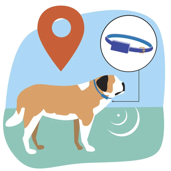 狗和无线项圈Gps信号作为一种监测动物位置的方法 以塞尔贝尔纳尔作为步行安全概念的种群向量平面图解 — 图库矢量图片