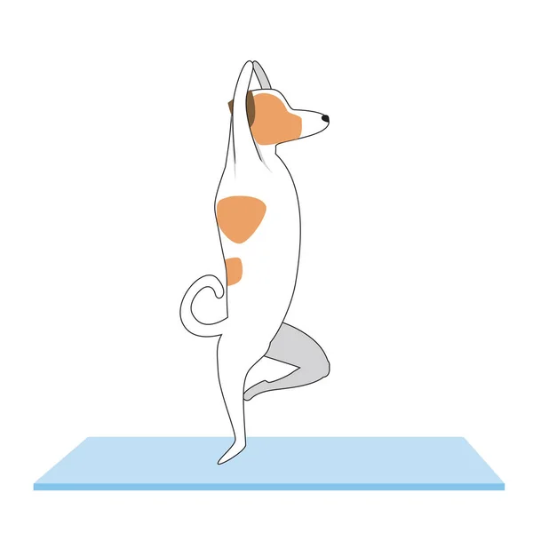 Köpek ya da Jack Russell Terrier yoga yapıyor. Sevimli bir çizgi film karakteri ve yoga konsepti olarak birleştirilmiş bir mat içeren düz ve çizgili vektör vektör çizimi