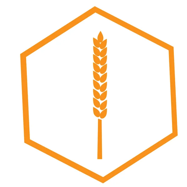 Vete Eller Råg Som Ikon För Affärer Orange Hexagon Silhuett — Stock vektor