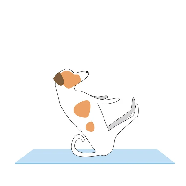 Jack Russell Terrier Beoefent Yoga Geïsoleerd Een Witte Achtergrond Voor — Stockvector