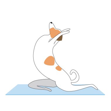 Köpek yogayı paspasın üzerinde bir Asya konsepti olarak uyguluyor. Asana sırasında sevimli spor karakteri Jack Russell Terrier ile hisse senedi düz illüstrasyon