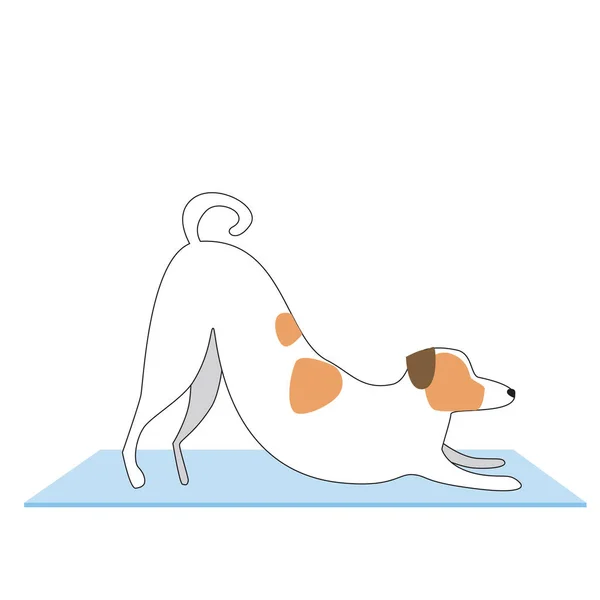 ジャック ラッセル テリアは白を基調としたヨガを実践している 精神性とヨガの概念としてキャラクター犬とフラットとアウトラインベクトルストックイラスト — ストックベクタ