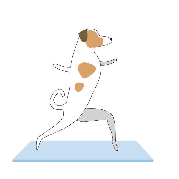 Minder üzerinde bir köpek ya da çizgi sanatı olarak mavi bir halı tarafından yoga asanasının gösterimi. Jack Russell Terrier karakterli düz vektör stok illüstrasyonu. Asya 'yı yoga ve sağlık konsepti olarak canlandırırken.