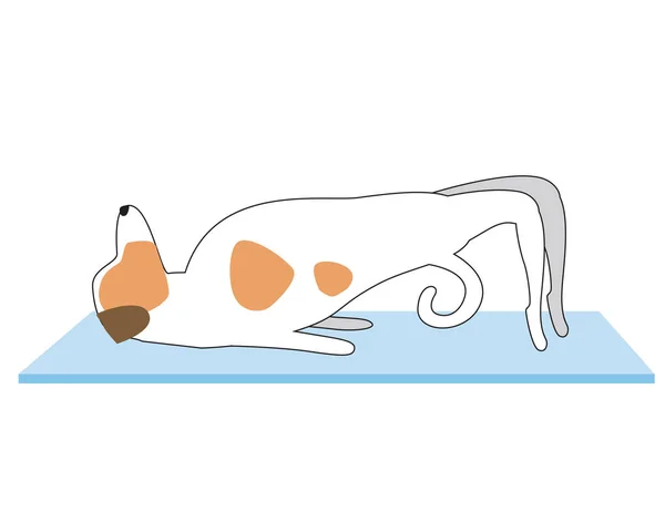 作为一个做瑜伽的角色的狗或杰克罗素特里耶 用白色背景隔离的狗和瑜伽垫进行平面和概略的矢量画图设计 Jack Russell Terrier表演瑜伽Asanas — 图库矢量图片