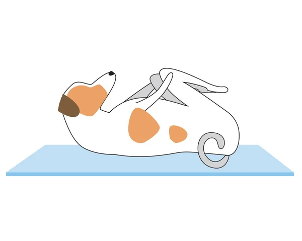 Jack Russell Terrier Como Personaje Demuestra Asanas Yoga Esquema Vector — Vector de stock