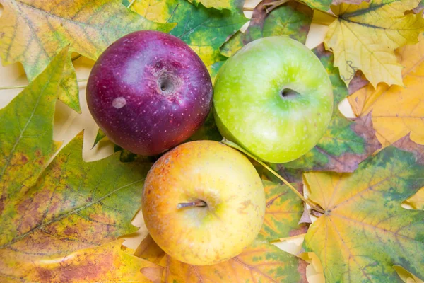 Осенний Натюрморт Три Разноцветных Яблок Грецкие Орехи Красивые Желтые Листья — стоковое фото