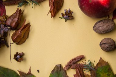 Sarı arka planda renkli yapraklar, kapsüller, yiyecekler ve fındıklar, natürmort yaşam alanı, üst görünüm sonbahar kompozisyonu, metin için yer