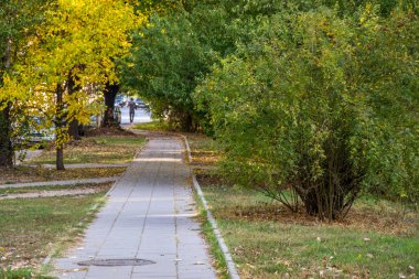 Şehirdeki güzel sonbahar yolu, renkli ağaçlar, doğadaki güzellik.