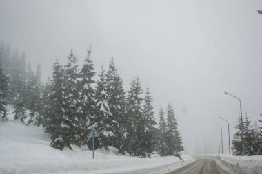 Dağlarda kış, arabasız, karla kaplı güzel bir yol, karlı ağaçlar ve beyaz gökyüzü
