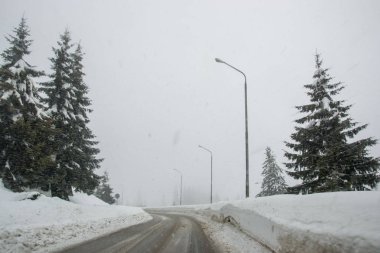 Dağlarda kış, arabasız, karla kaplı güzel bir yol, karlı ağaçlar ve beyaz gökyüzü