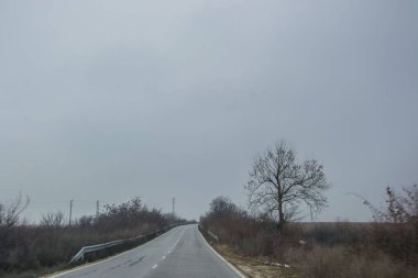 Bulgaristan 'daki puslu otomobil yolu, ölü ağaçlar ve sis, mavi gökyüzü arka planı, yol kenarındaki bitki ve ağaçlar