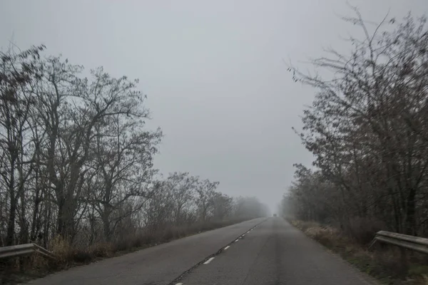 Dimmig Bilväg Bulgarien Döda Träd Och Dimma Blå Himmel Bakgrund — Stockfoto
