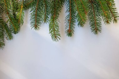 Beyaz arkaplanda yer alan metin için dekoratif çerçeve, Noel ağacı dallarından yapılan tebrik kartları, Xmas kavramı, kopyalama alanı