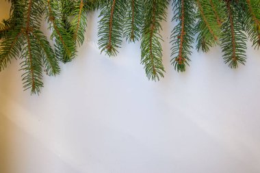 Beyaz arkaplanda yer alan metin için dekoratif çerçeve, Noel ağacı dallarından yapılan tebrik kartları, Xmas kavramı, kopyalama alanı