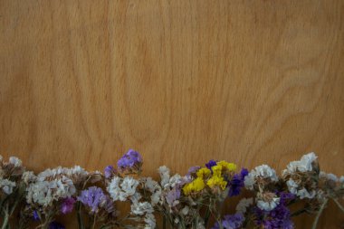 Ahşap zemin üzerinde çok renkli kurutulmuş çiçekler, fotokopi alanı olan renkli limonyum staj bitkisi, metin yeri